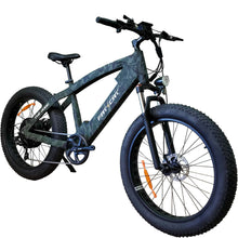 Load image into Gallery viewer, The Dude